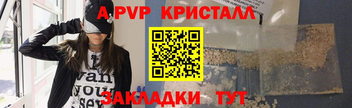 где купить наркоту  Alfa_PVP СК  A-PVP VHQ  Вход с VPN  Благодарный 