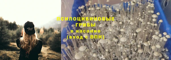 mdpv Пролетарск