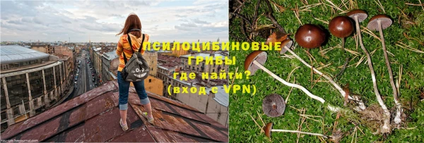 mdpv Пролетарск