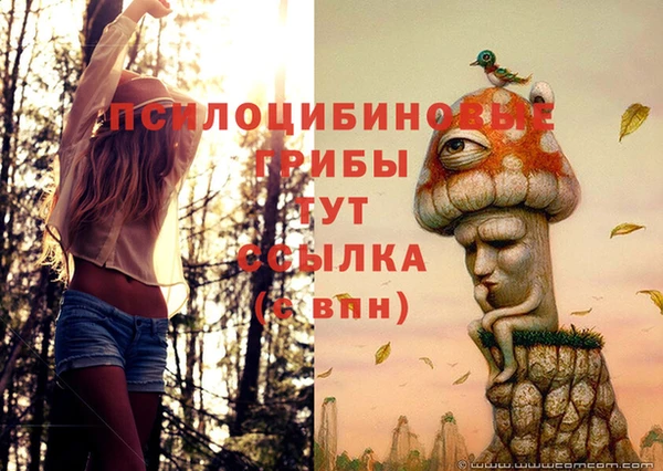 Альфа ПВП Протвино