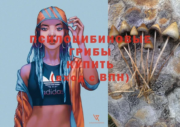 ALPHA PVP Приозерск