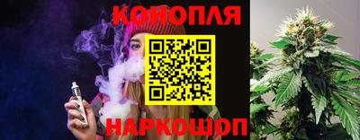 Альфа ПВП Аргун