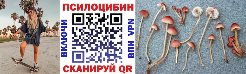 Псилоцибиновые грибы Psilocybine cubensis  Благодарный 