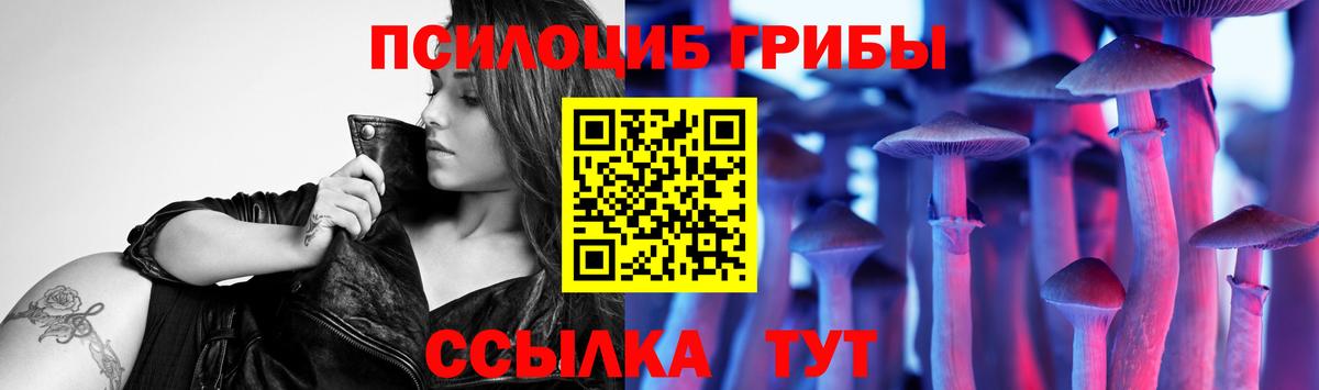 Псилоцибиновые грибы MAGIC MUSHROOMS  Вход с VPN  Псилоцибиновые грибы Magic Shrooms  Благодарный 